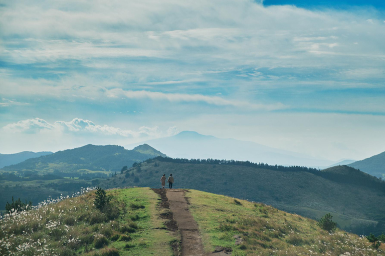 Jeju: Day Tour, Small Volcano & Landmark & UNESCO Heritage Private Day Tour 5hr (Just Car Charter/Not including ticket)