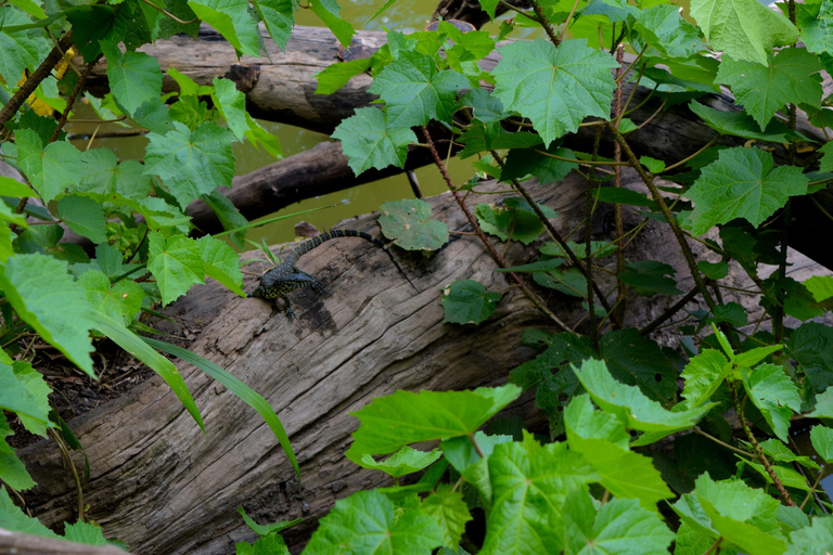Duluti-See: Kanufahren, Naturwanderung und ExtraKajakfahren, Spaziergang in der Natur und Töpferkurs