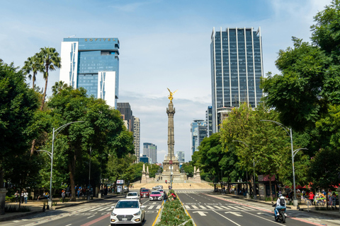 Private Sightseeing Tour of Mexico City's Most Iconic Places Private Tour of Mexico City's Most Iconic Spots