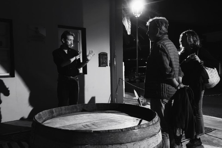 La Palma: Stargazing & Wine Tasting at Bodegas Teneguía