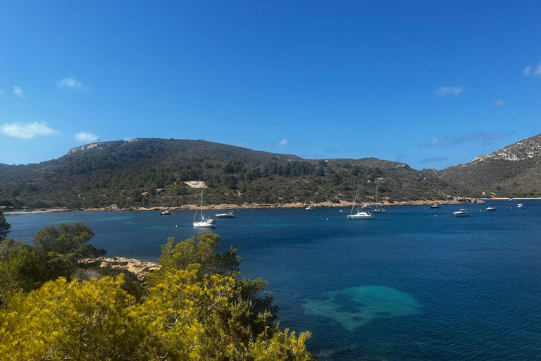 S'Arenal: Boat trip to Cabrera Island with a swim in the Blue Cave