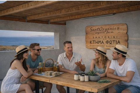 Santorini: Botanical Cosmetology experience