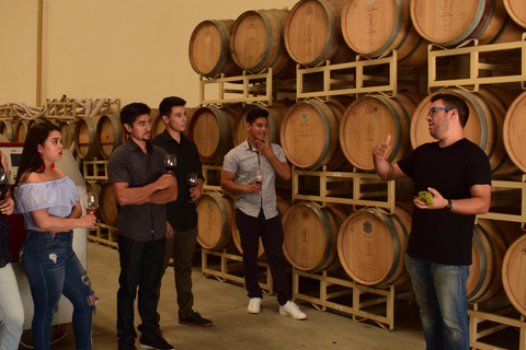 Visite de la vallée de Guadalupe : dégustations de vins inclusesCircuit dans la vallée de Guadalupe : dégustations de vins incluses