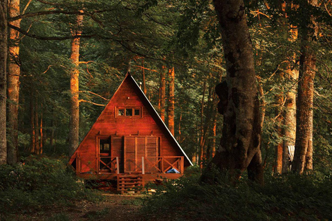 Batumi: Hike and Swim in Mtirala National Park Batumi: Extreme Escape – ATV, Parasailing & Buggy
