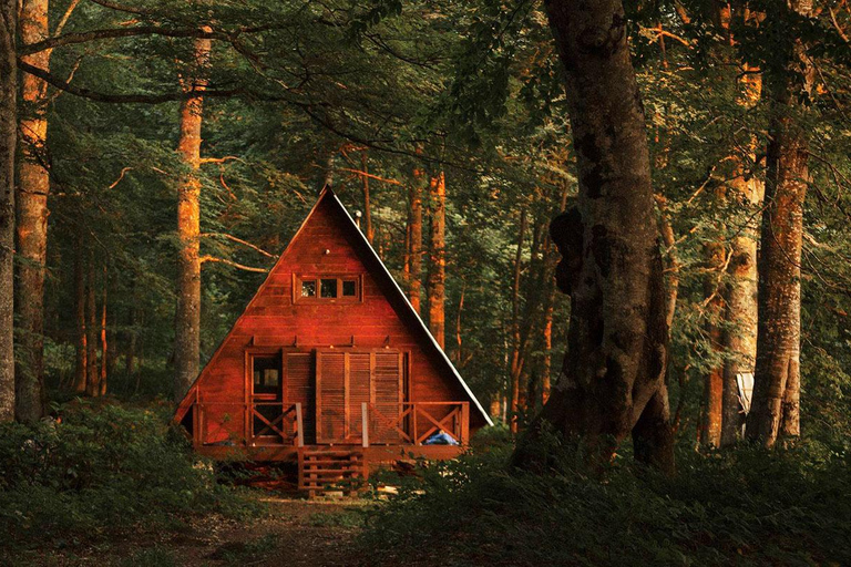 Batumi: Hike and Swim in Mtirala National Park Batumi: Extreme Escape – ATV, Parasailing & Buggy