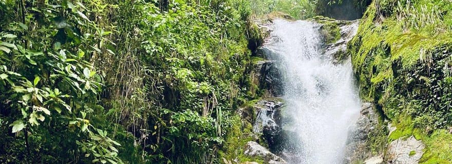 Medellín : Randonnée dans les chutes d'eau secrètes avec collation et café
