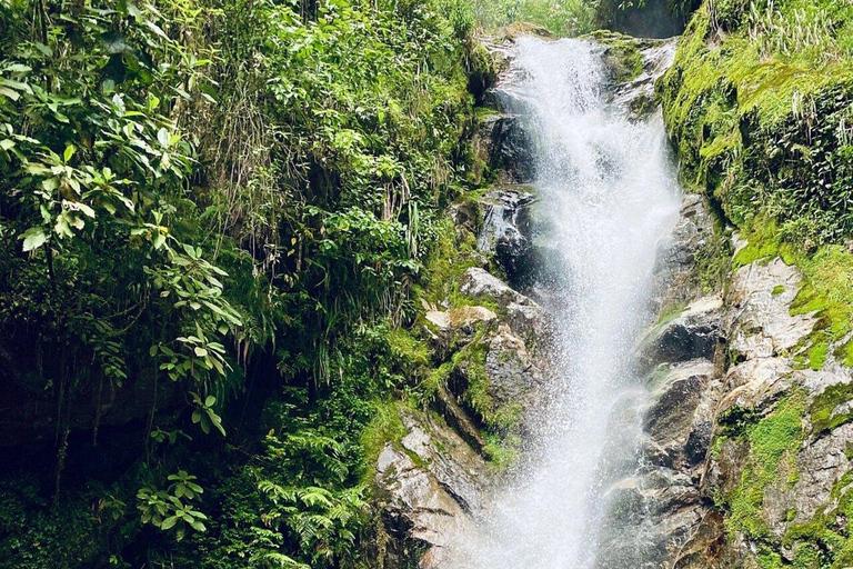 Medellín: escursione alle cascate segrete con spuntino e caffè