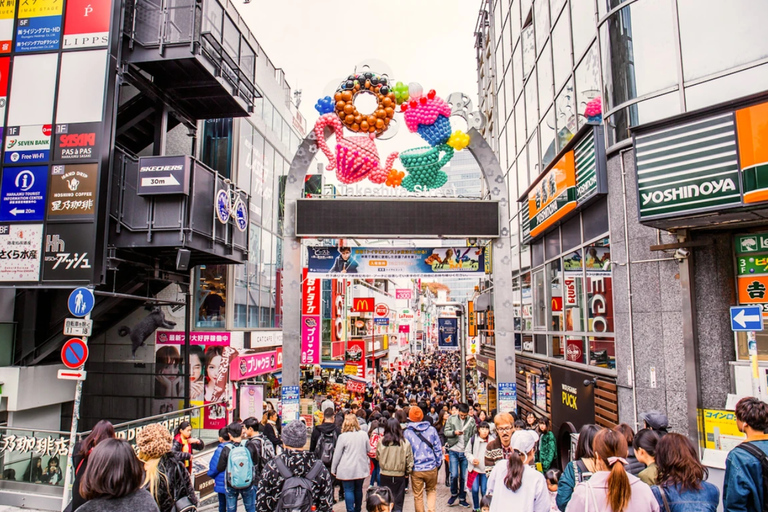 Tokyo: Private Luxury Day Tour with Hotel Pickup and DropOff