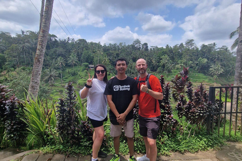 Ubud: Private Half-Day Tour Rice Terrace, Temple & Waterfall Private Ubud Half-Day Tour (Without Entrance Ticket)