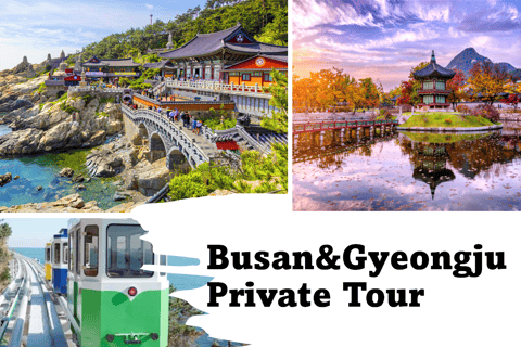 Tour privato dell&#039;UNESCO di Gyeongju con biglietti