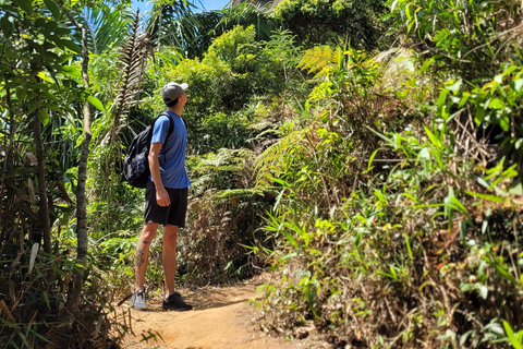 Rio de Janeiro: Pedra da Gávea - guided hike with best views