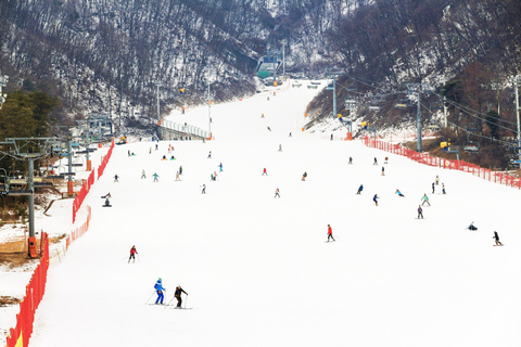 Seoul: Jisan Forest Winter Ski Day Tour with Basic Lesson SNOWBOARD Full Package - Meet at DDP Station