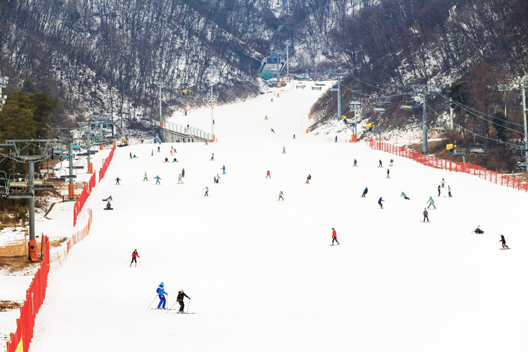 Seoul: Jisan Forest Winter Ski Day Tour with Basic Lesson SNOWBOARD Full Package - Meet at DDP Station