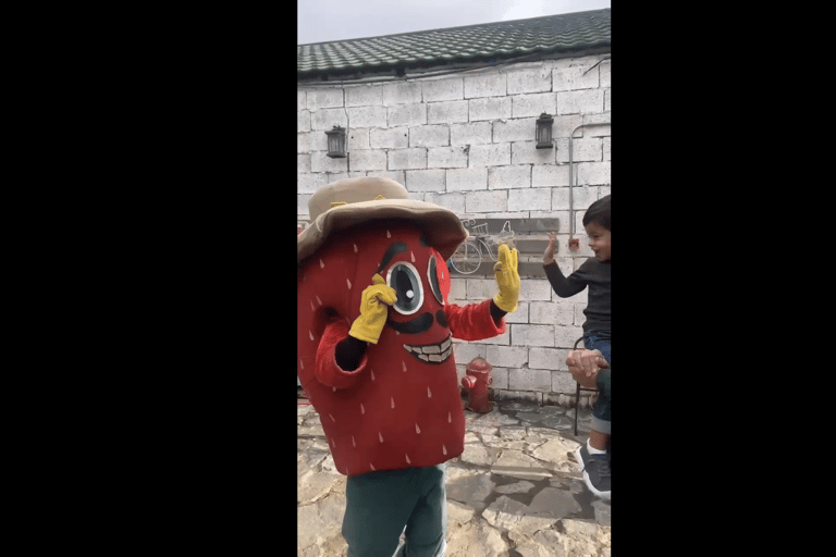 Makkah or Jeddah to Al-Hada, Al-Shafa, and Taif City Tour A journey full of experiences، learn about Saudi hospitality