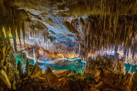 Mallorca: Full day tour to the Caves of Drach and Hams