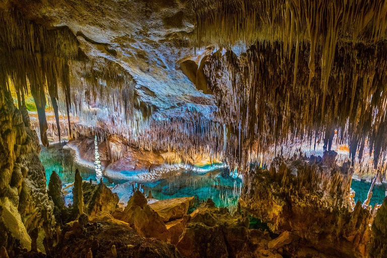 Mallorca: Full day tour to the Caves of Drach and Hams