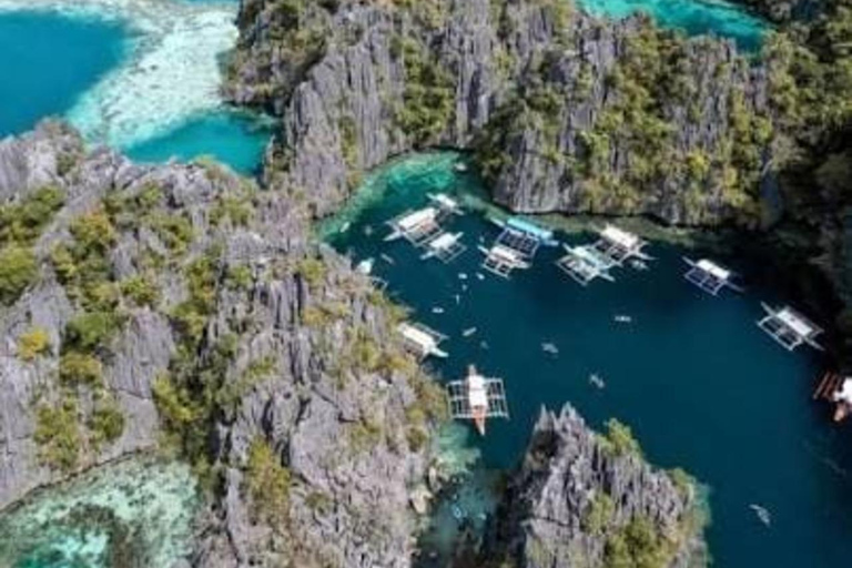 7 Days Coron Wanders Escape Islands Hopping & Wildlife Tour
