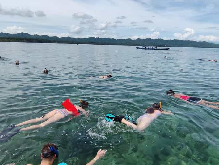 Cahuita National Park: Snorkel