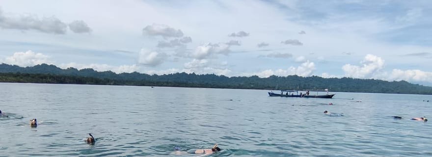 Parc national de Cahuita : Plongée en apnée