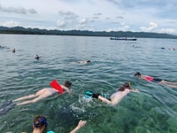 Parque Nacional Cahuita, snorkel - Housity