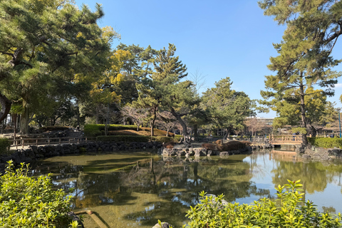Nagoya: Toyokuni Shrine, Temple, & Museum Guided Tour