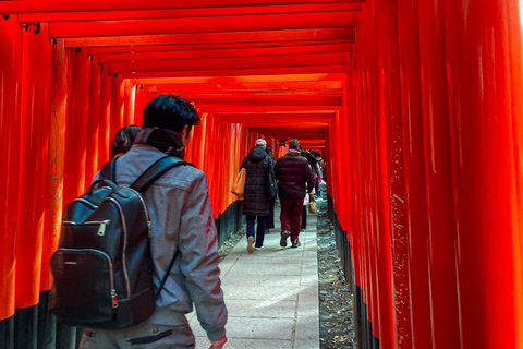 Kyoto: Fushimi Inari Night Walking Tour with Guide Kyoto: Mystical Fushimi Inari Night Walk with Pro Guide