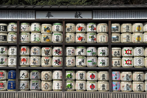 Tokyo Private & Customizable Tour with English Driver Guide