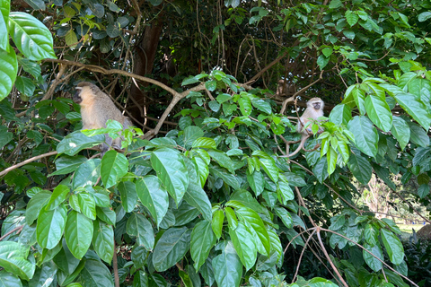 Kampala:Full day Jinja Adventure Tour (Female Led)