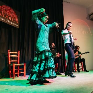 Grenada: pokaz flamenco w La Alboreá
