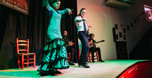 Granada: Flamenco Show in La Alboreá