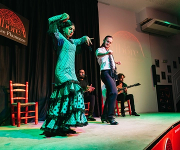 Granada: Flamenco Show in La Alboreá