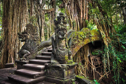 Bali: All-Inclusive Ubud Private Tour with Lunch All-Inclusive Ubud Private Tour with Lunch