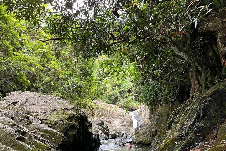 Excursion à El Yunque, rivière et toboggans aquatiques