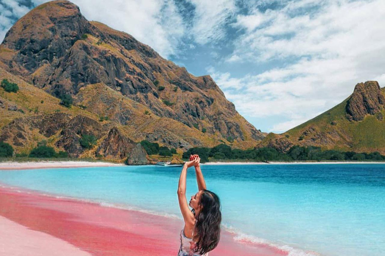 Labuan Bajo : Tour de um dia na Ilha de Komodo com guia localPasseio partilhado de barco lento em Labuan Bajo