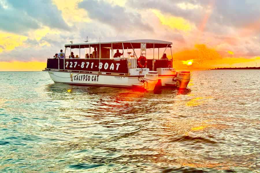 Fabelhafte Florida-Sonnenuntergangs-Kreuzfahrt mit Delfinen. Foto: GetYourGuide