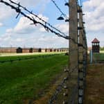 Auschwitz-Birkenau: Visita guidata - Biglietto + trasporto