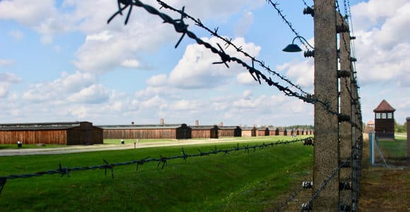 Auschwitz-Birkenau: Geführte Tour - Ticket + Transport