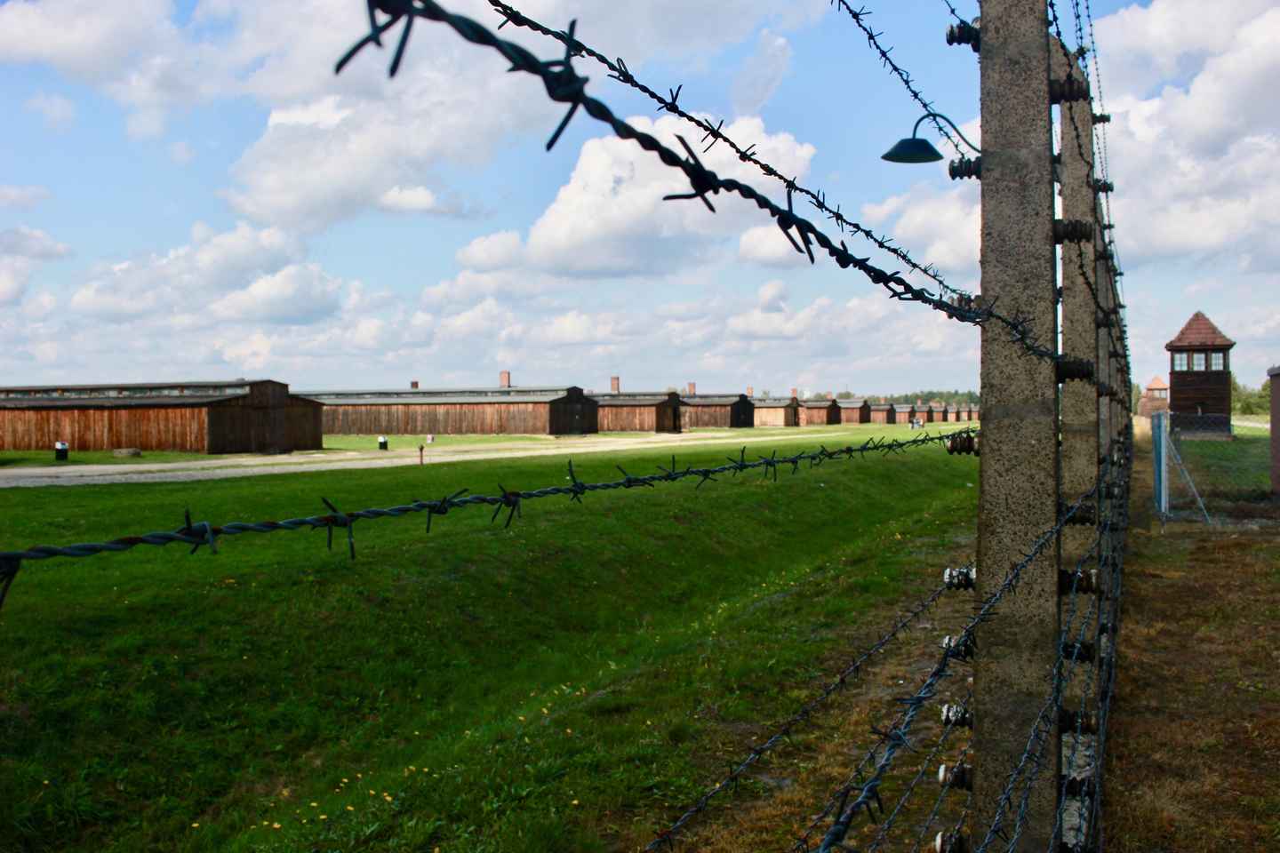 Auschwitz-Birkenau: Guided Tour - Ticket + Transportation