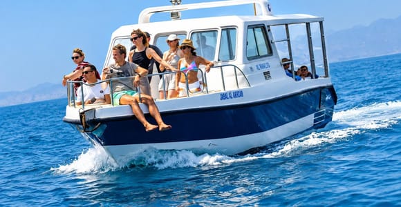 Muscat Dolphin Watching & Coastal Sightseeing Tour