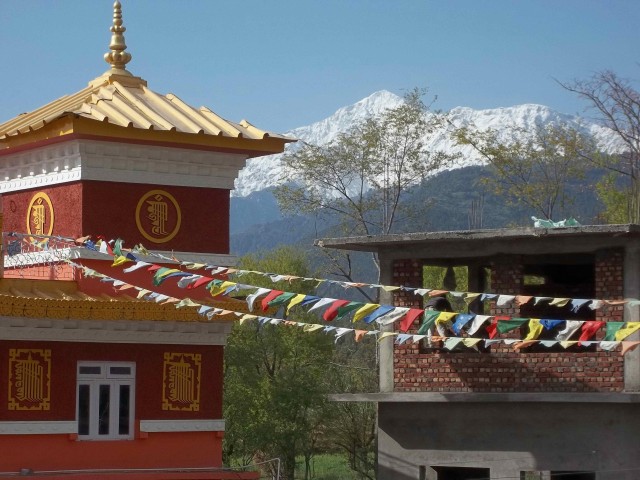 Visit Day Trip from Dharamshala To Namgyal Monastery in Kangra, Himachal Pradesh
