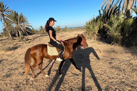 Djerba: Individual Horse Riding in the Blue Lagoon.