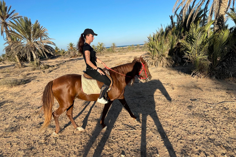Djerba: Individual Horse Riding in the Blue Lagoon.