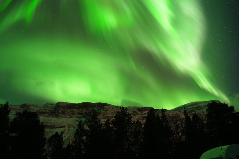 Tromsø: English/Spanish Aurora Pathfinder Tour with Photos Tromsø: English/Spanish Aurora Hunting Private Minibus Tour