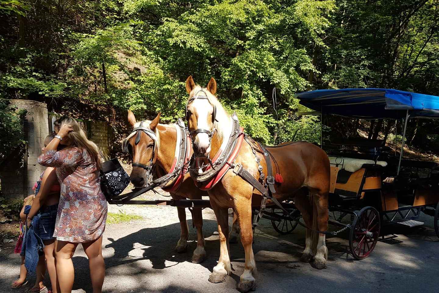 Castillo de Karlštejn en carruaje tirado por caballos
