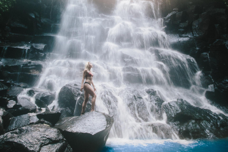 Les meilleures chutes d'eau de Bali et la visite de la rizière de TegalalangVisite privée de Bali aux chutes d'eau et à la rizière de Tegalalang