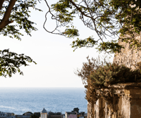 The dessert Procida - Housity