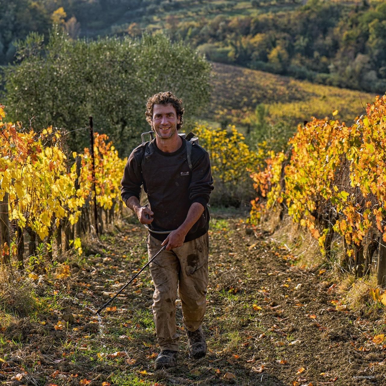 Private Lebensmittelverkostung von Naturwein und nativem Olivenöl extra von Terrante in San Miniato