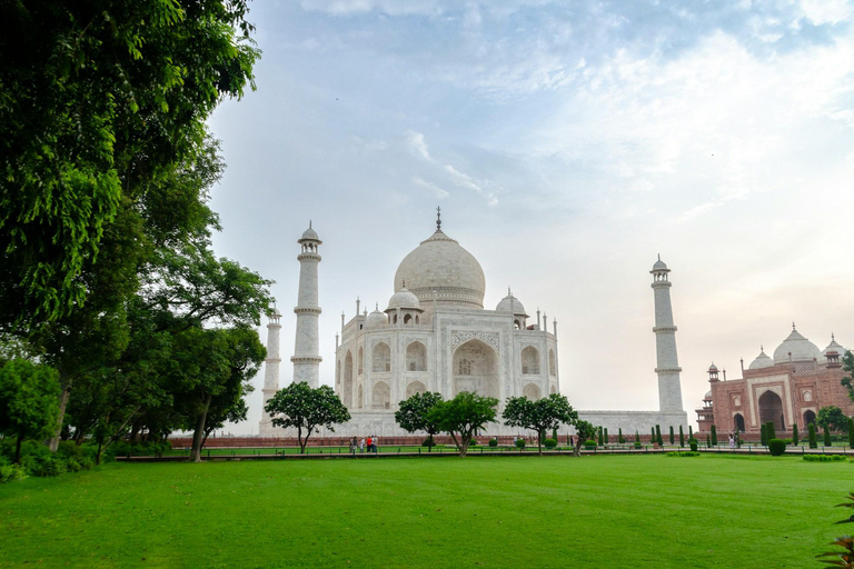 Agra: Amanecer en el Taj Mahal y recorrido de vida salvaje con elefantesTour privado con entradas y almuerzo