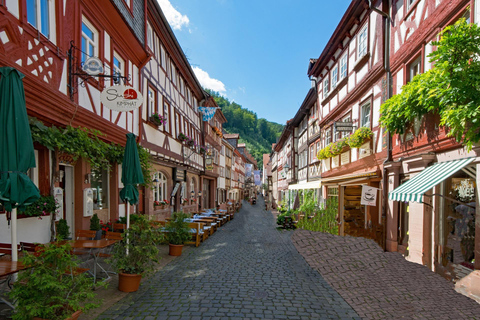 Miltenberg - Tour privato a piedi con visita al castello