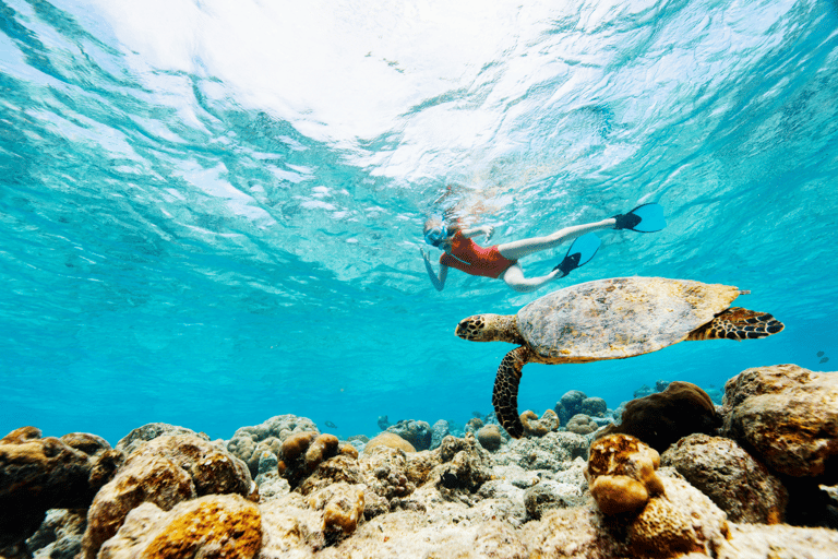Rincon: Underwater Magic Snorkel Adventure